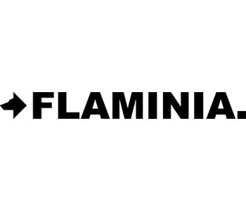 Logo Flaminia